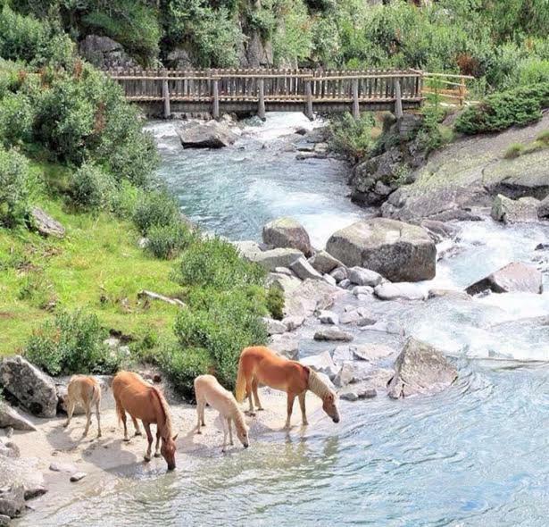 Affittacamere Da Silvia Santa Barbara  Exteriér fotografie